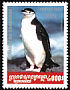 Chinstrap Penguin Pygoscelis antarcticus  2001 Penguins 