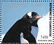 Gentoo Penguin Pygoscelis papua  2001 Penguins  MS