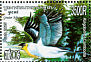 Greater Adjutant Leptoptilos dubius  2005 Birds Sheet