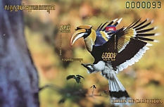 Great Hornbill Buceros bicornis  2020 Birds 