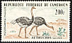 Common Ostrich Struthio camelus  1962 Ostrich, Camp de Waza 