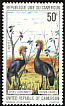 Black Crowned Crane Balearica pavonina  1977 Cameroun birds 