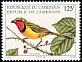 Gorgeous Bushshrike Telophorus viridis  1998 Birds 