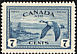 Canada Goose Branta canadensis  1946 Air 