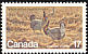 Greater Prairie Chicken Tympanuchus cupido  1980 Endangered wildlife 2v set