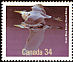 Great Blue Heron Ardea herodias  1986 Birds of Canada 