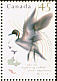 Northern Pintail Anas acuta  1995 Wildlife 4v sheet