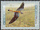 American Kestrel Falco sparverius  1996 Birds of Canada Sheet or strip