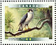Northern Goshawk Accipiter gentilis  1999 Birds of Canada Sheet or strip