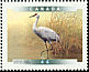 Sandhill Crane Antigone canadensis