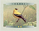 American Goldfinch Spinus tristis  1999 Birds of Canada Booklet, sa