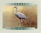 Sandhill Crane Antigone canadensis  1999 Birds of Canada Booklet, sa