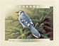 Blue Jay Cyanocitta cristata  2000 Birds of Canada Booklet, sa