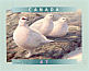 Rock Ptarmigan Lagopus muta  2001 Birds of Canada Booklet, sa