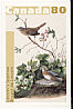 Lincoln's Sparrow Melospiza lincolnii  2004 Audubon Booklet, sa