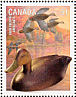 American Black Duck Anas rubripes  2006 Duck decoys Sheet