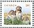 Burrowing Owl Athene cunicularia  2014 Baby wildlife 5v sheet