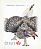 Sharp-tailed Grouse Tympanuchus phasianellus  2016 Birds of Canada Booklet, sa