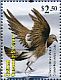 Wilson's Storm Petrel Oceanites oceanicus  2011 Birds of the Caribbean Sheet