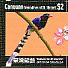 Taiwan Blue Magpie Urocissa caerulea  2014 Taipei 2015 6 different + 3 repeats, sheet, sa