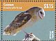 American Barn Owl Tyto furcata  2014 Owls of the Caribbean Sheet