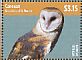 American Barn Owl Tyto furcata  2014 Owls of the Caribbean Sheet