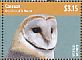 American Barn Owl Tyto furcata  2014 Owls of the Caribbean Sheet