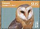 American Barn Owl Tyto furcata  2014 Owls of the Caribbean Sheet