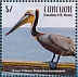 Brown Pelican Pelecanus occidentalis  2019 Brown Pelican Sheet