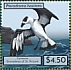 Black-capped Petrel Pterodroma hasitata  2021 Seabirds Sheet