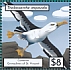 Campbell Albatross Thalassarche impavida  2021 Seabirds Sheet