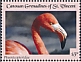 American Flamingo Phoenicopterus ruber  2021 Flamingo Sheet