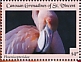 American Flamingo Phoenicopterus ruber  2021 Flamingo Sheet