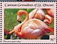 American Flamingo Phoenicopterus ruber  2021 Flamingo Sheet