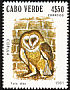 Western Barn Owl Tyto alba  1981 Birds 