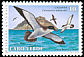 Cape Verde Shearwater Calonectris edwardsii  1993 Nature reserves 