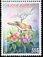 Cape Verde Warbler Acrocephalus brevipennis  2005 Birds 