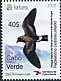Cape Verde Storm Petrel Hydrobates jabejabe  2023 Parque Natural da Baia do Inferno e do Monte Angra 3v set