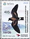 Cape Verde Storm Petrel Hydrobates jabejabe  2023 Parque Natural da Baia do Inferno e do Monte Angra 2v sheet