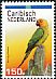 Brown-throated Parakeet Eupsittula pertinax