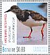 Ruddy Turnstone Arenaria interpres  2016 Birds of Bonaire Sheet