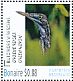 Green Heron Butorides virescens  2016 Birds of Bonaire Sheet