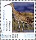 Eurasian Whimbrel Numenius phaeopus  2016 Birds of Bonaire Sheet