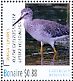 Lesser Yellowlegs Tringa flavipes  2016 Birds of Bonaire Sheet