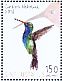 Broad-billed Hummingbird Cynanthus latirostris