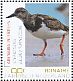 Ruddy Turnstone Arenaria interpres  2018 Birds of Bonaire Sheet
