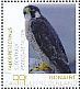Peregrine Falcon Falco peregrinus  2018 Birds of Bonaire Sheet