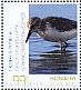 Semipalmated Sandpiper Calidris pusilla  2018 Birds of Bonaire Sheet