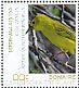 Mangrove Warbler Setophaga petechia