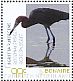 Reddish Egret Egretta rufescens  2018 Birds of Bonaire Sheet